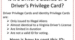 Is it a Driver’s License or a Driver’s Privilege Card?